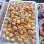 phoca_thumb_m_otvran zahrady 15 Fotogalerie